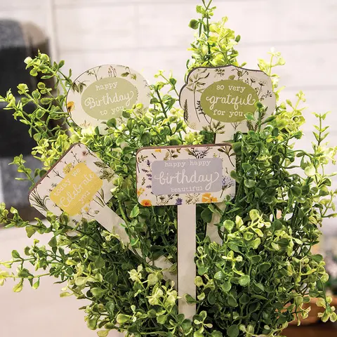 Gifting Plant Poke - 4 Asstd., 39095