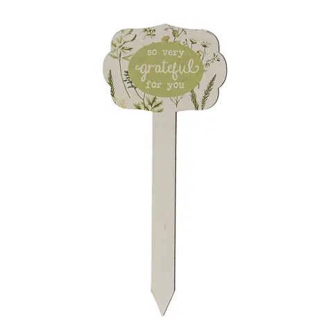 Gifting Plant Poke - 4 Asstd., 39095