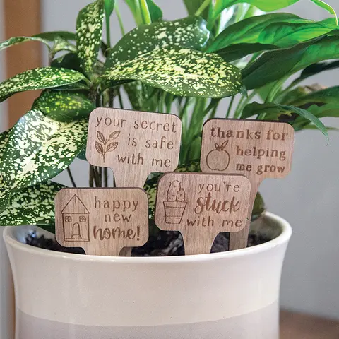You're Stuck With Me House Plant Poke, 4 Asstd. 37585;