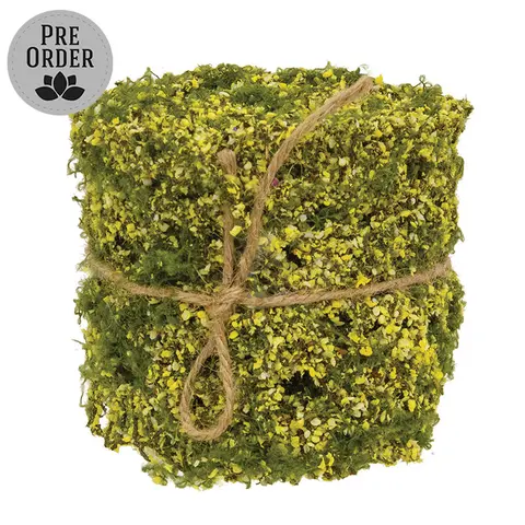New Growth Moss Ribbon - 3 In x 6 Ft, QE152652Y