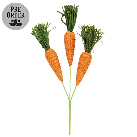 Grassy Carrot Trio Pick - 12-3/4 In, SA112662