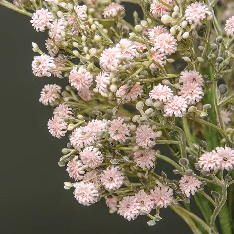 Blushing Blessed Clover Spray - 17 In