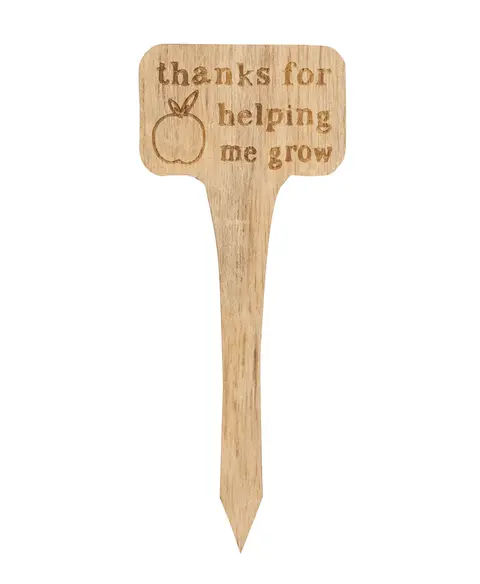 You're Stuck With Me House Plant Poke, 4 Asstd.