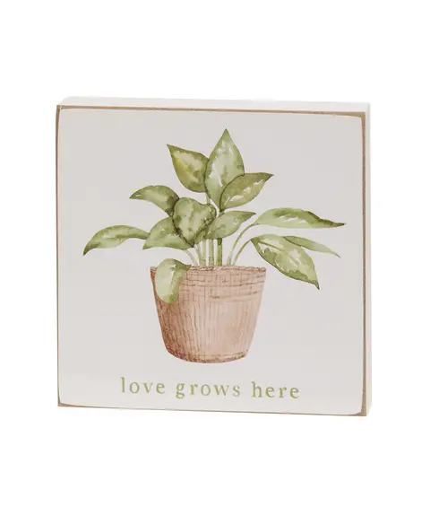 Love Grows Here House Plant Square Block, 4 Asstd.