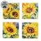 4/Set - Watercolor Sunflower Coasters & Holder, 39038