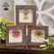Daisy Framed Sign - 3 Asstd. , 39051