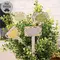 Gifting Plant Poke - 4 Asstd., 39095