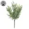 Dusty Rosemary Bush - 11-1/2 In, CB042637