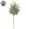 Dusty Rosemary Pick - 12 In, CB042638