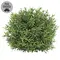 Dusty Rosemary Half Sphere - 7-1/2 In, CB042639