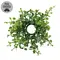 Verdant Baby Eucalyptus Candle Ring - 1 In, CB042655