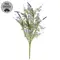 Golden Trumpet & Lavender Spray - 19 In, CB042643