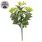 Yellow Jasmine Bush - 10 In, DWC302602