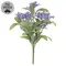 Purple Jasmine Bush - 10 In, DWC302603