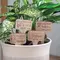 You're Stuck With Me House Plant Poke, 4 Asstd. 37585;