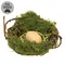 Mossy Twig Bird Nest w/Speckled Cream Egg - 4 In, QE152649