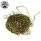 Mossy Twig Bird Nest - 6 In, QE152651