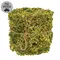 New Growth Moss Ribbon - 3 In x 6 Ft, QE152652Y
