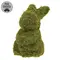 Sitting Mossy Bunny - 4 In H, QE152654