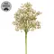 Blushing Blessed Clover Spray - 17 In, SA112663