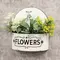 Distressed White Spigot Wall Planter