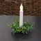 Verdant Baby Eucalyptus Candle Ring - 1 In