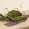 Mossy Twig Bird Nest - 6 In, QE152651