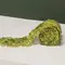 New Growth Moss Ribbon - 3 In x 6 Ft, QE152652Y