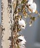 Picture of Wild Cotton Garland