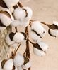 Cotton Ball Garland