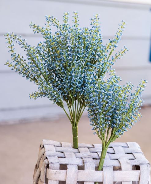 Picture of Bursting Astilbe Bush, Sky Blue, 10"