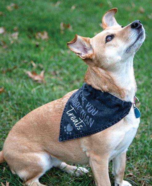 Picture of I Love You More Than Treats Dog Bandana