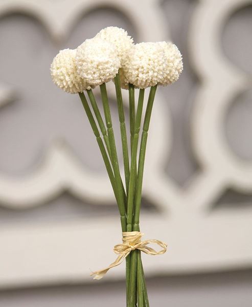 Picture of White Billy Ball Bouquet