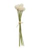 Picture of White Billy Ball Bouquet