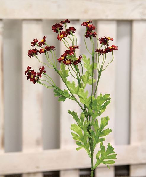 Picture of Chamomile Flower Spray, Red