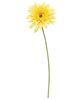 Picture of Blooming Daisy Stem, Dark Yellow