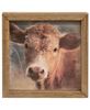 Picture of Farm Animal Portrait Frame, 3 Asstd.