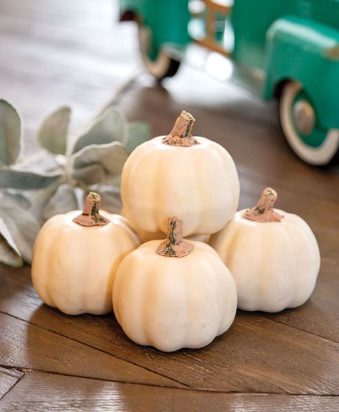 Picture of Mossy Top Cream Pumpkins, 5/Set