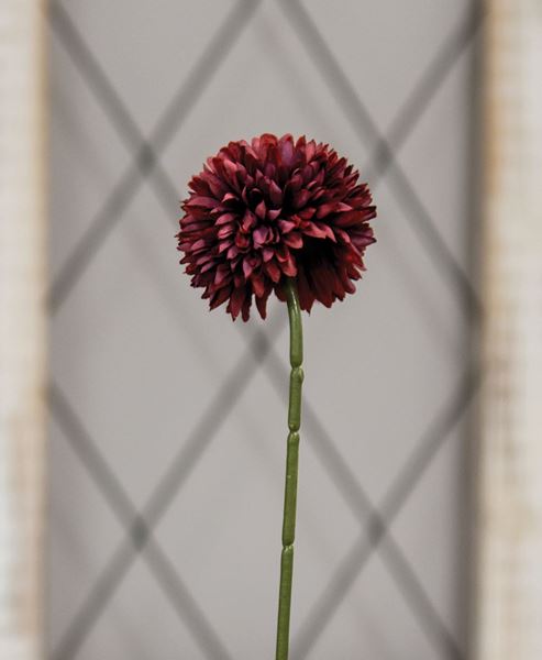 Picture of Red Pompom Stem