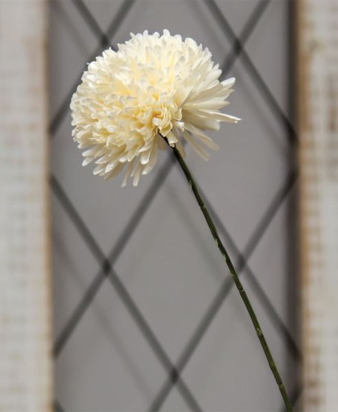 Picture of Cream Pompom Spray