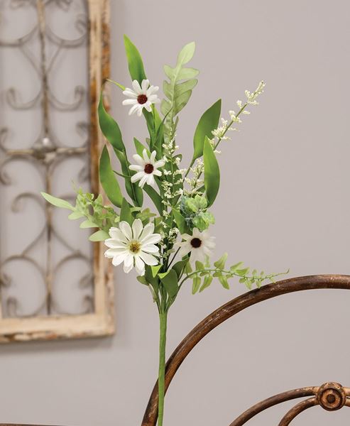 Picture of Cape Daisy, Astilbe, & Herb Pick