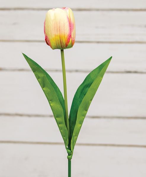 Picture of Champagne Tulip Stem, 17.5"