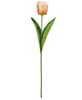 Picture of Champagne Tulip Stem, 17.5"