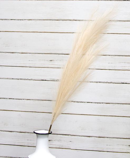 Picture of Pampas Grass Spray, 45", Cream