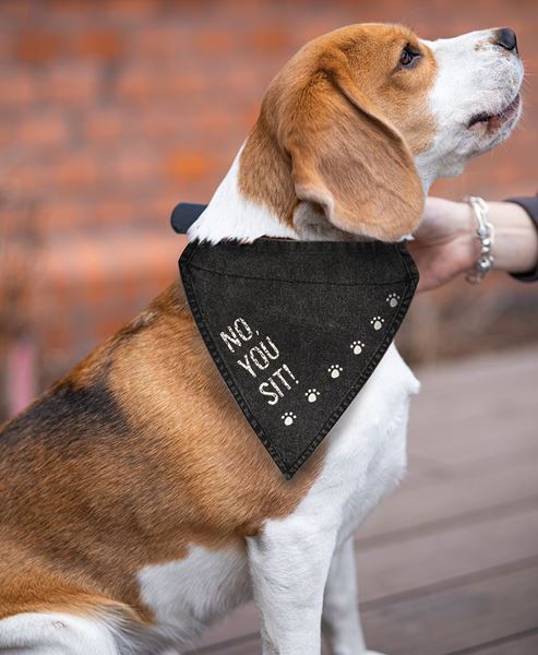 Picture of No, You Sit! Dog Bandana