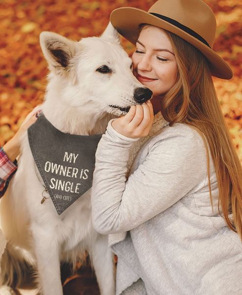 Picture of My Owner Is Single (And Cute) Dog Bandana