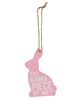 Picture of Bunny Words Wooden Ornaments, 3/Set