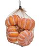 Picture of Orange Pumpkin in a Bag, 5/Set