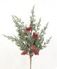 Picture of Graceful Cedar Berry Bush, 19"