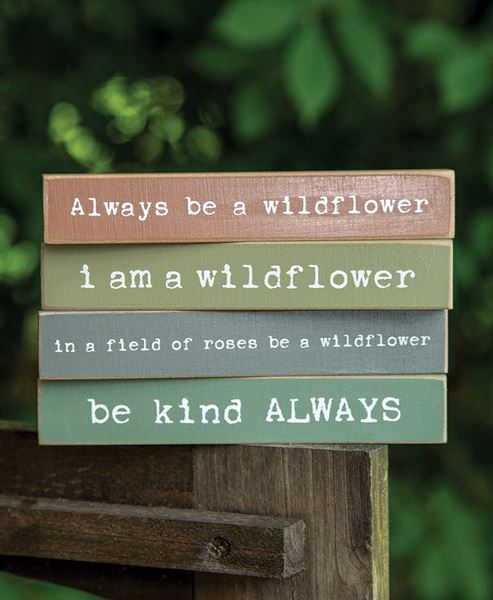 Picture of Be Kind Always Mini Stick, 4 Asstd.